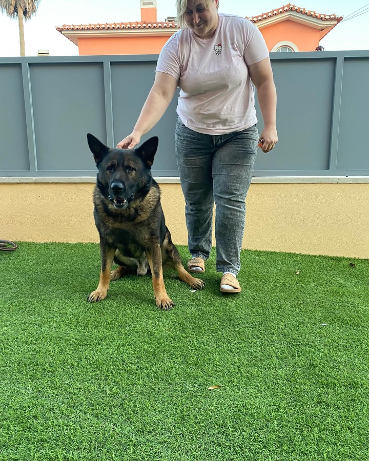 Halyna calmly handling a large German Shepherd