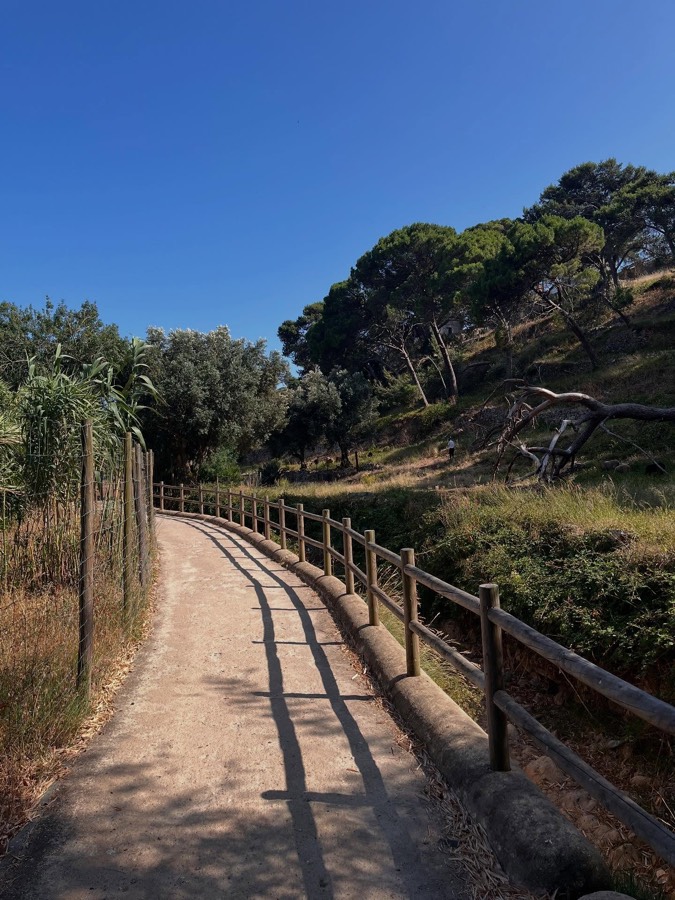 Dog walking on a green trail in Paço de Arcos