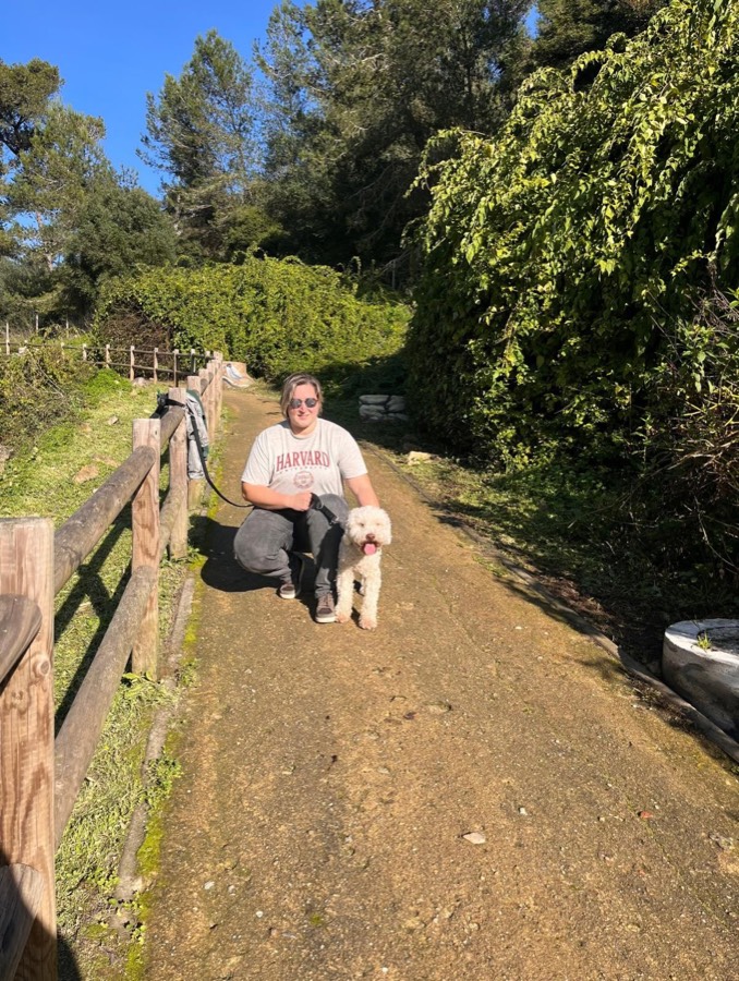 Dog walking on a green trail in Sintra